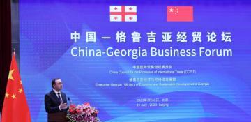  China-Georgia Strategic Partnership Declaration: Accusations of Unconstitutionality - Why is this Declaration at the Center of Discussions? 