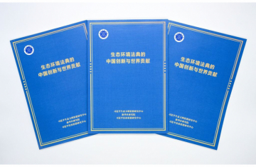  China's Environmental Code: From Xi Jinping's Vision to a New Model of Global Environmental Governance 